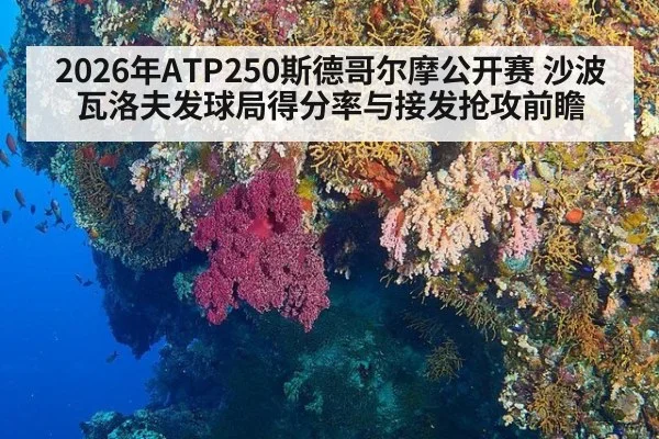 2026年ATP250斯德哥尔摩公开赛 沙波瓦洛夫发球局得分率与接发抢攻前瞻